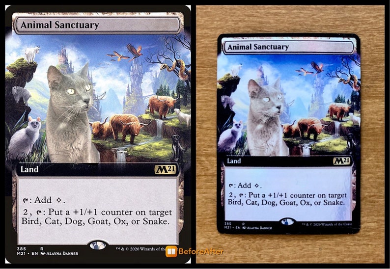 Personalized Pet Magic the Gathering Foil Land Etsy