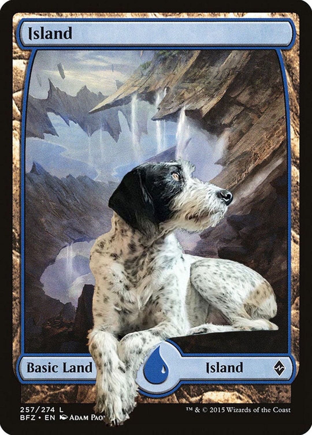 Personalized Pet Magic the Gathering Foil Land Etsy