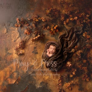 Puede incluir: Un bebé recién nacido envuelto en una manta marrón, contra un fondo otoñal texturizado. La escena está adornada con follaje de otoño y el texto "May & Moss" y "Newborn in digitals by tori lesh photography".