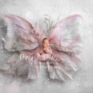 May’s Blushing Rose Wings – Digital Newborn Composite Background | May and Moss Digitals