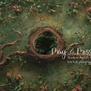 May include: A digital backdrop featuring a central nest surrounded by branches, leaves, and small pink flowers. The background is a textured green with the text "May & Moss" and "Newborn digitals by tori lesh photography".