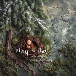 Rooted in the Love of May — Winter Edition | May and Moss Digitals | Lori Lesh Photography