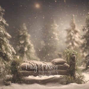May’s Goodnight Moonlight Bed | May & Moss