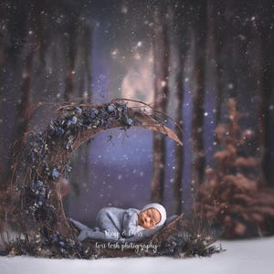 May’s Indigo Nest at Dusk | May and Moss Digitals