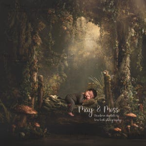 May include: A newborn baby in a gray onesie is peacefully sleeping on a mossy log in a forest setting. The backdrop features lush greenery, mushrooms, and a soft, diffused light. The text "May & Moss" is visible.