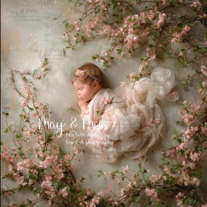 May include: A sleeping baby wearing a floral headband and a flowing, light pink dress, surrounded by pink flowering branches. The background is a soft, textured, light green and beige. The text "May & Moss" and "Newborn digitals by lori tesh photography" is visible.