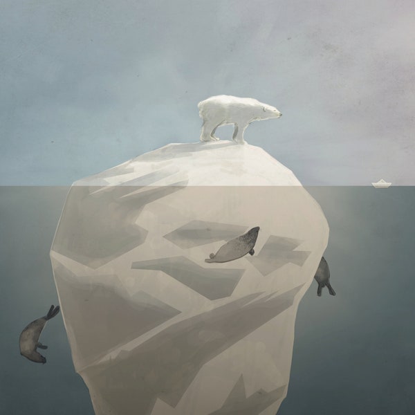 Affiche poster nature pour enfant - ours polaire, iceberg, Titanic en papier - plusieurs tailles  (A3, A4, A5)