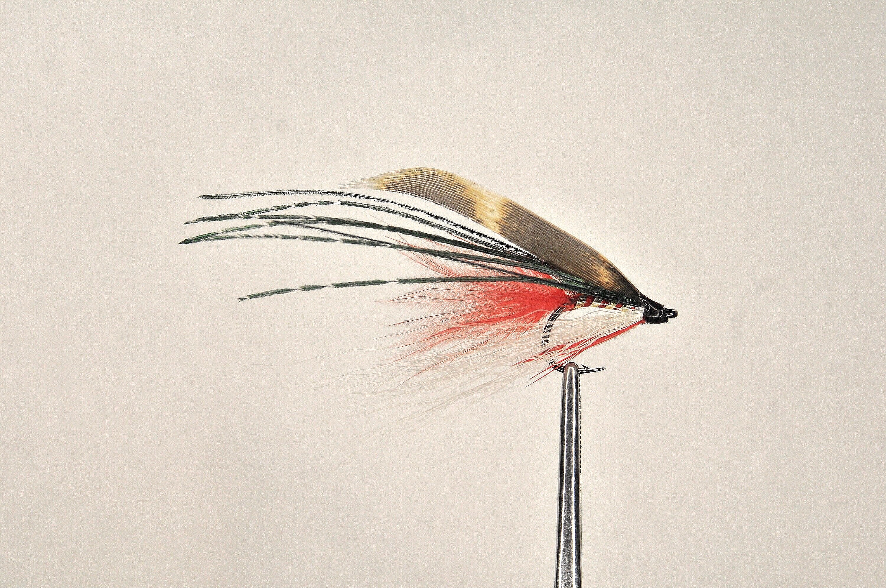 Salmon Fly Tying Feathers