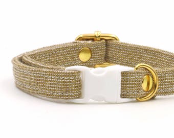 Gala Gold Cat Collar with Breakaway Safety Buckle - Kitten Collar Size Available - Cat Collars