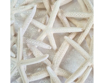 Witte wijzerzeester – natuurlijke gebleekte zeester – echte gedroogde zeester voor strandhuwelijksdecor, kustambachten, nautisch huisdecor