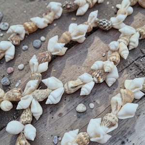 Puede incluir: Un collar compuesto por numerosos caracoles marinos naturales peque&ntilde;os en tonos blanco, crema y bronceado. Los caracoles est&aacute;n ensartados en un patr&oacute;n repetitivo, con una mezcla de formas lisas, en espiral y puntiagudas a lo largo.