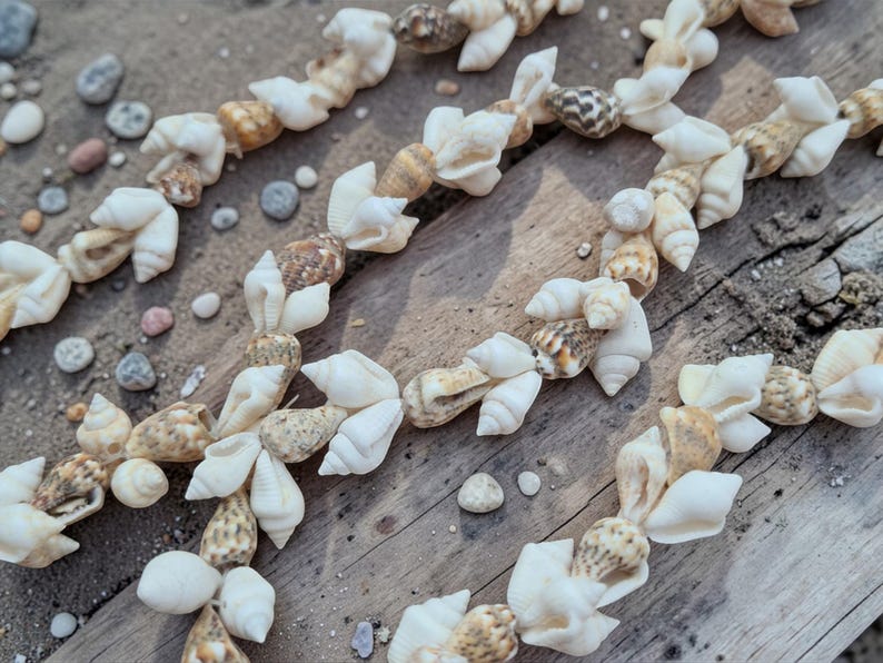 Puede incluir: Un collar compuesto por numerosos caracoles marinos naturales peque&ntilde;os en tonos blanco, crema y bronceado. Los caracoles est&aacute;n ensartados en un patr&oacute;n repetitivo, con una mezcla de formas lisas, en espiral y puntiagudas a lo largo.