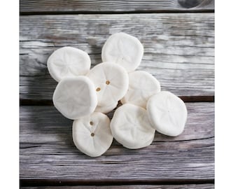 May include: A group of white sand dollars on a weathered gray wooden surface.