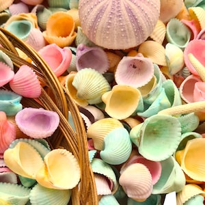 Könnte beinhalten: Eine Sammlung von pastellfarbenen Muscheln in verschiedenen Formen und Größen. Die Muscheln sind in einem Korb angeordnet und beinhalten einen Seestern.
