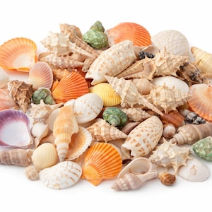 Pode incluir: Uma caneca de cerâmica branca com uma alça preta e o texto "But First, Coffee" em preto, em negrito. A caneca está em uma superfície branca. Para bebidas quentes.