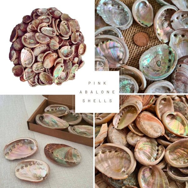Wholesale 1/2 lb - 1 lb Pink Abalone Seashells, Shell Crafts Coastal Beach Decor,Polished Abalone Shells 100% Natural Sea Shell/Shell Bulk.