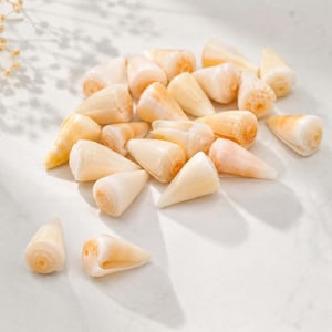May include: A collection of small, smooth, cone-shaped seashells in shades of cream, beige, and pale orange. Each shell features a pointed tip and a circular opening at the base, displaying a natural, polished texture and a spiral-like structure.