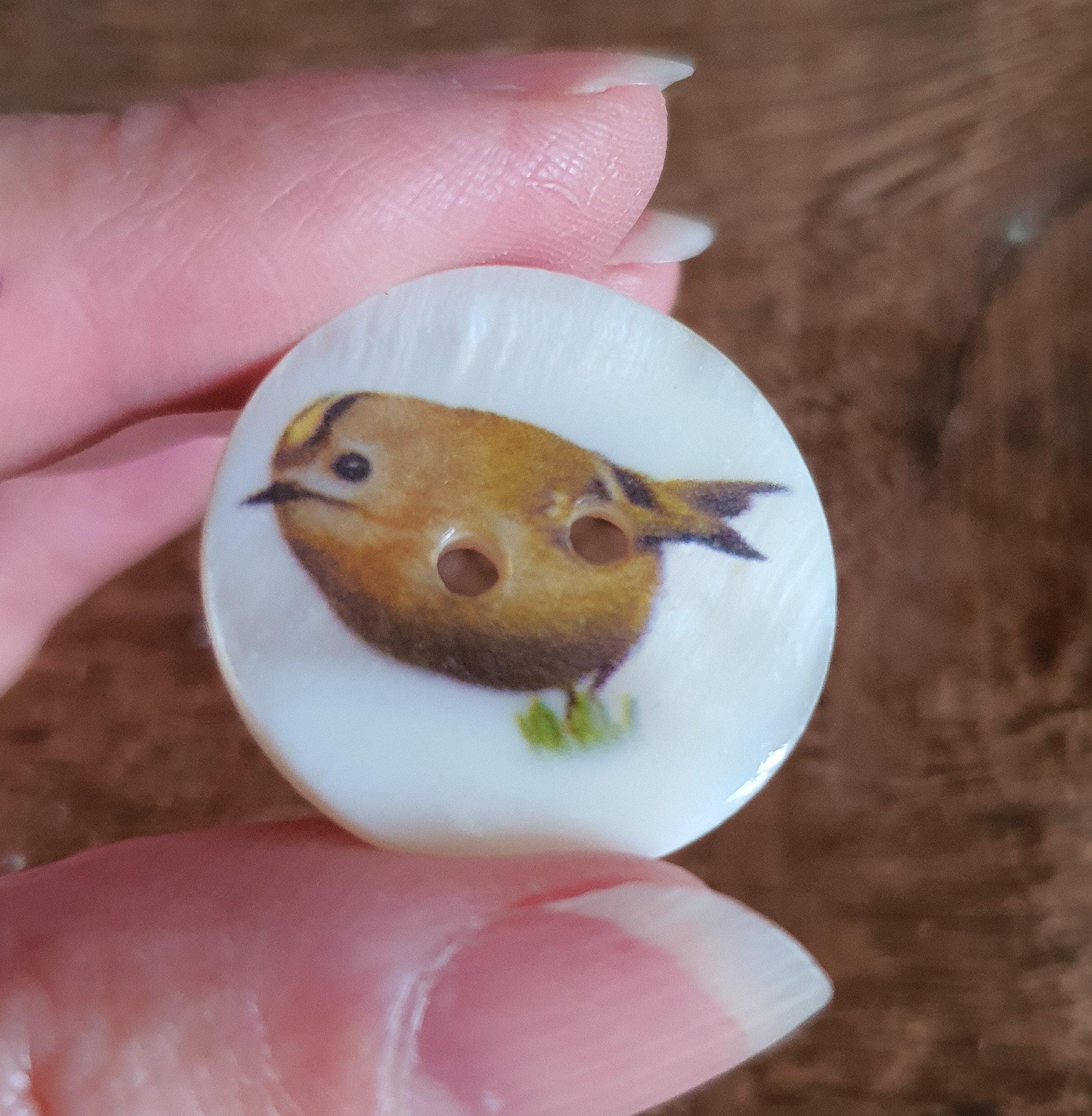 Bird Buttons 25mm Shell Button British Garden River - Etsy UK