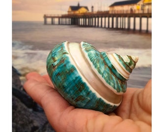 Large Green Polished Spiral Banded Jade Seashell / 6-7cm / Decorative Turban Shell / Coastal Style Shell Ornament/ Hermit Crab Shell / Gift