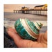 see more listings in the Large/Rare Sea Shells section