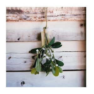 Kunst Mistelzweig Hängedekoration - Festliches Weihnachts Accessoire mit traditionellem Charme - Urlaub Kissing Pflanze - Festliche Wohndekoration