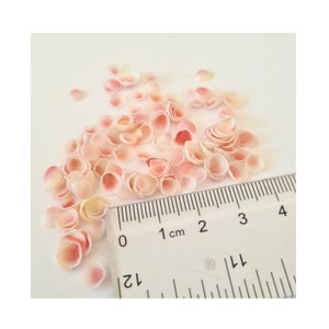 Conchiglie di fiori di melo, minuscole conchiglie di petali rosa, arte di conchiglie, matrimoni, fiori di conchiglie, artigianato di conchiglie, decorazioni di conchiglie e altro ancora