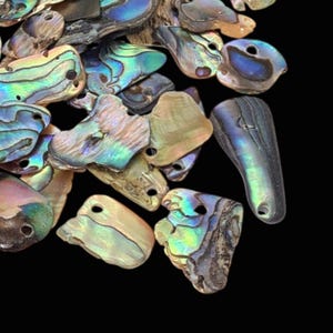May include: A collection of iridescent abalone shell beads in various shapes and sizes. The shells display a range of colors, including blues, greens, and purples, with a pearlescent sheen. Each shell has a small hole for stringing.