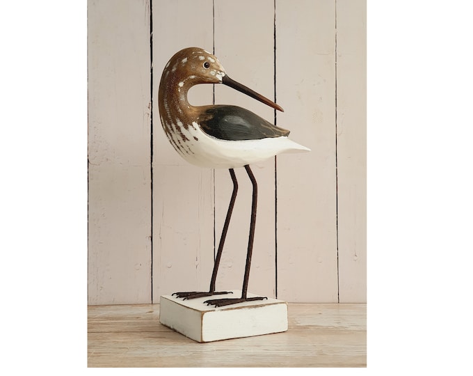 Water Pipit