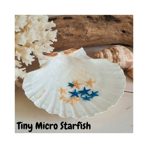 Tiny Starfish / Flat Dried Micro Star Fish / Natural or Blue Starfish / Extra Small Starfish 8-10mm/ Shell Crafts Resin Art Candle making