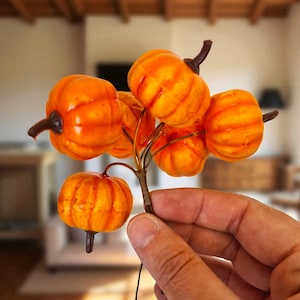 May include: A collection of small, orange pumpkins with brown stalks. The pumpkins are attached to a thin, brown stem, held in a hand. The pumpkins have a shiny surface and are likely for autumn decoration.