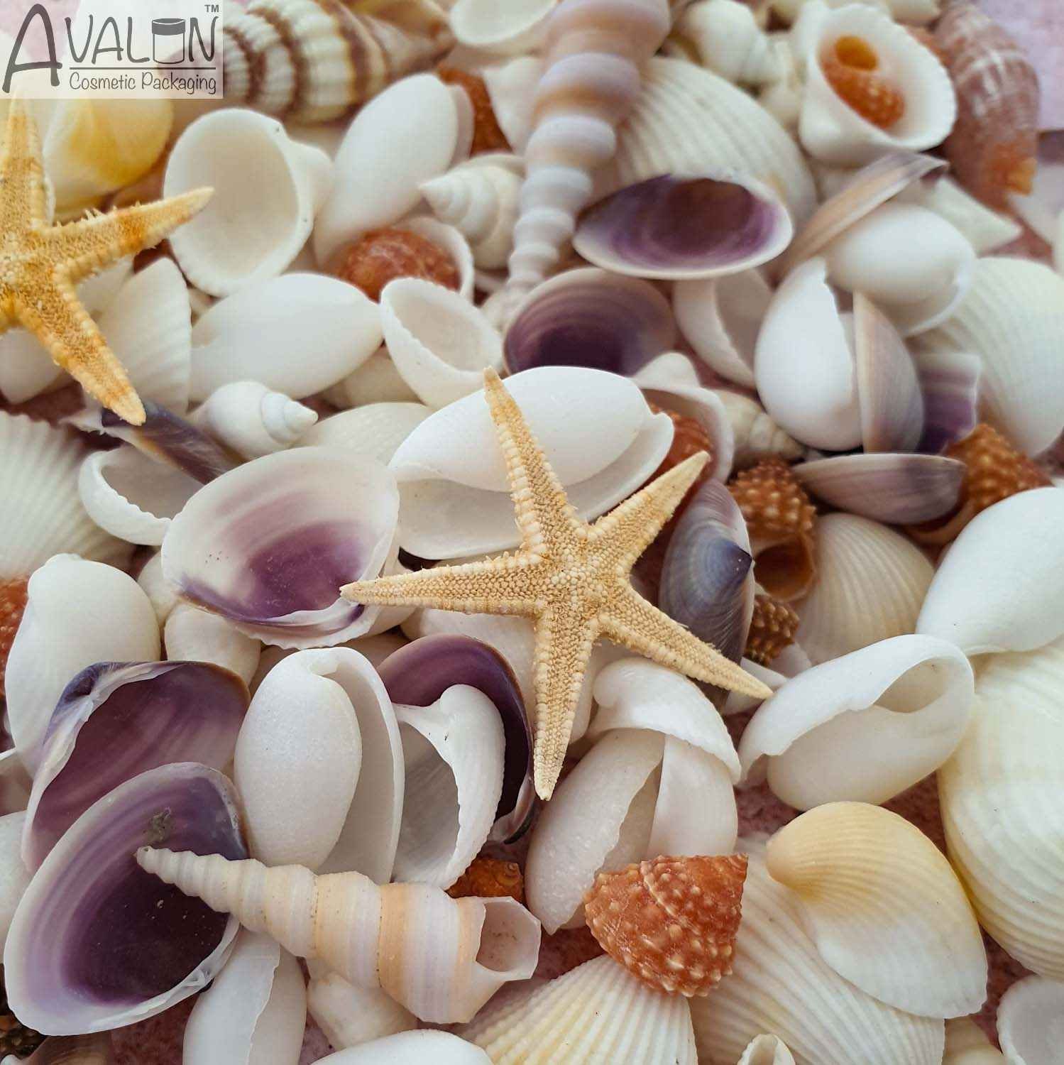 Small, Vibrant Seashell Mix, Tiny Sea Shell Pack, Pink Spirals, Sea Shells  for Crafts, Scatter Table Confetti. Coastal Crafts, Resin -  Denmark