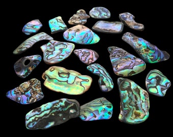Abalone Paua NZ Shell Pieces 40g / Approx 20 Pcs of Irregular Shape Natural Pieces / Polished Paua Shell / Shell Cabouchon, Ocean Art Craft