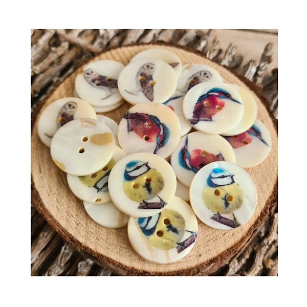 Boutons d'oiseaux Bouton coquillage de 25 mm Motifs d'oiseaux de jardin britanniques – Chouette effraie, martin-pêcheur ou mésange bleue – pour la couture, le tricot, l'artisanat, les sacs, les chapeaux