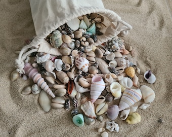 BULK Mixed Small Seashells 500 g (1.1 lb) Large Bag of Natural Colorful Small Shells / 600-700 Pcs Lot for Crafting, DIY, Beach Style Decor