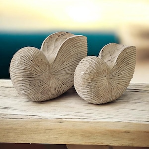 Hand Carved Wooden Nautilus Shell Sculptures Pair | Coastal Nautical Decor | Rustic Beach House Ornament | Driftwood Style Shell Art Gift