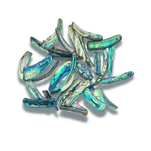 Concha de Abalone Paua NZ com bordas polidas, 25 peças / peças de 3 a 5 cm de comprimento / linda concha de Paua iridescente / fabricação de joias, arte e artesanato oceânico