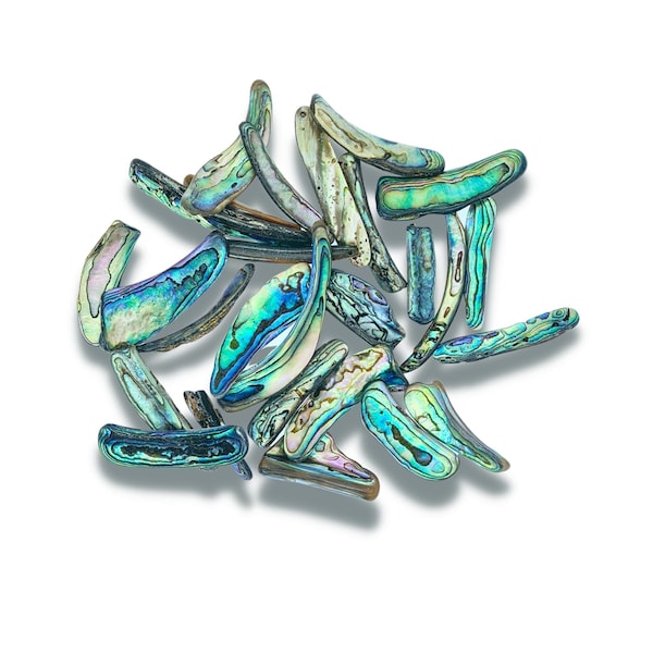 Abalone Paua NZ Shell Polished Rims 25 Pcs / 3-5cm Long Pieces  /  Beautiful Iridescent Paua Shell / Jewelry Making, Ocean Art & Craft