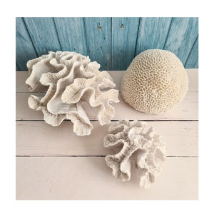 Gisela Graham Faux White Resin Coral Ornament / Coastal Style / Coral Display Pieces / Beach House Style Ornaments / Aquarium Decor