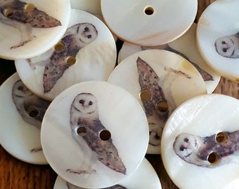 Vogelknöpfe 25 mm Muschelknopf British Garden Bird Designs - Schleiereule, Eisvogel oder Blaumeise - zum Nähen, Stricken, Basteln, Taschen, Hüte