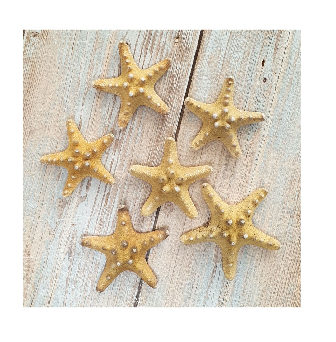 Beach Decor Seashell Mirror - Nautical Decor Shell Mirror W Starfish In Natural Oval - Foto 8