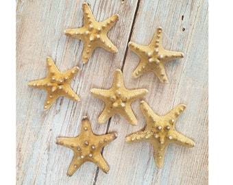 Small Natural Starfish 2-3cm / Venus Starfish / Knobbly Rhino Sea Stars / Shell Crafts / Shell Supplies / Coastal Style Decor