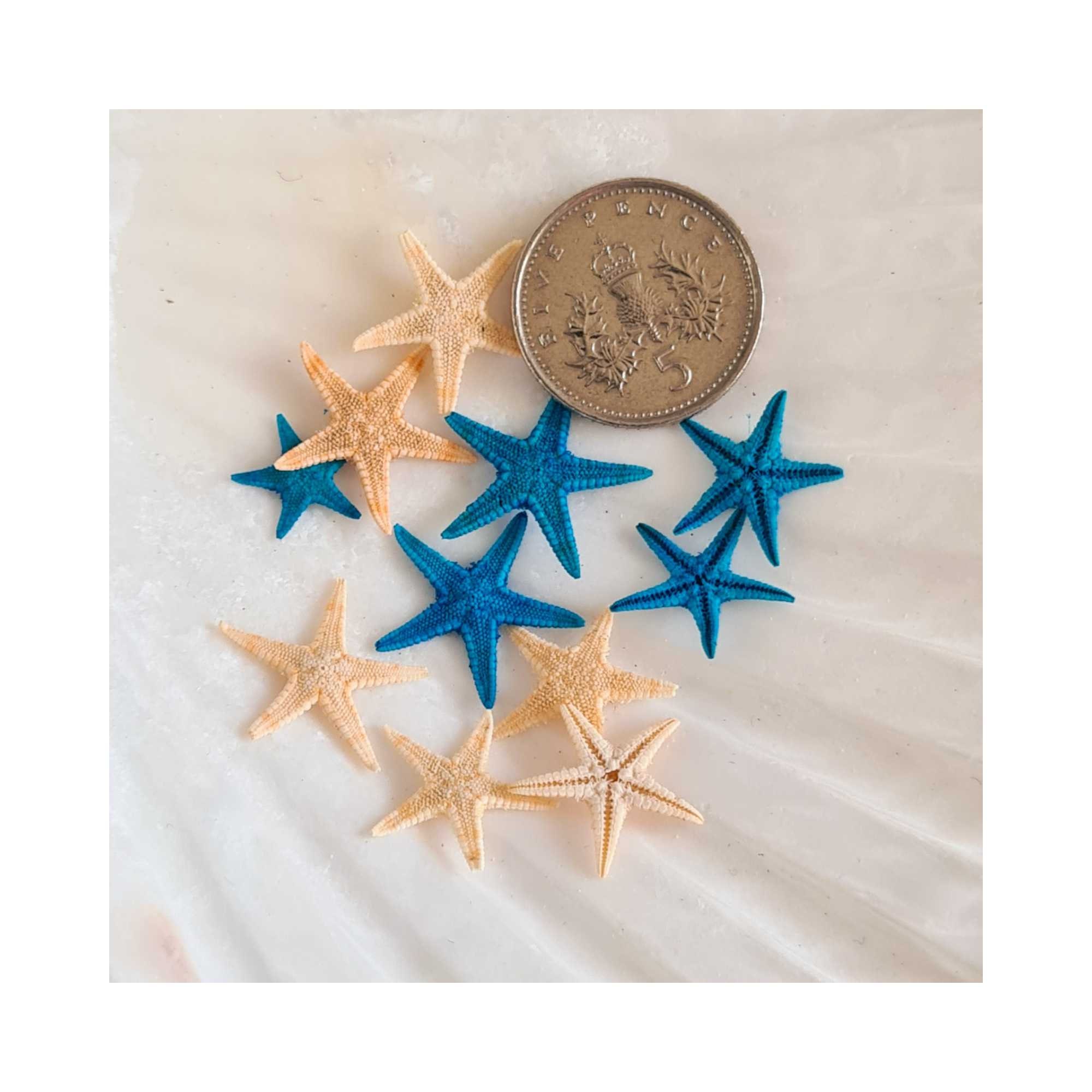 Small Starfish Flat Yellow Mini Starfish With Rectangular - Temu