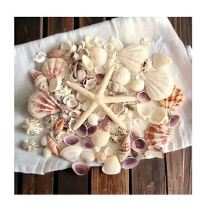 Pretty Mixed Small Seashells & Starfish - Beach Crafts, Wedding Decor, Jewelry, Resin Crafts, Nautical Shell-Inspired Coastal Chic
