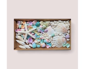 Mixed Pastel Coloured Craft Seashells and White Pointer Starfish Shell Pack for Beach Crafts, Shell Art. Shell Supplies / Small Beach Shells