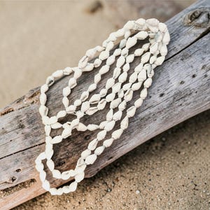 Puede incluir: Un collar de conchas blancas con m&uacute;ltiples hilos, apoyado sobre un trozo de madera flotante desgastada. El collar est&aacute; compuesto por peque&ntilde;as conchas de forma ovalada, creando una est&eacute;tica texturizada y natural. El fondo es una playa arenosa.