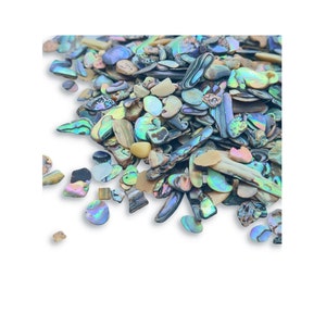 Ormeau Paua NZ Coquillages polis / 3-5 mm / Morceaux de coquillage, éclats de gravier / Coquillage Paua broyé / Art d'ongle de mariage artisanal en résine (#AP)