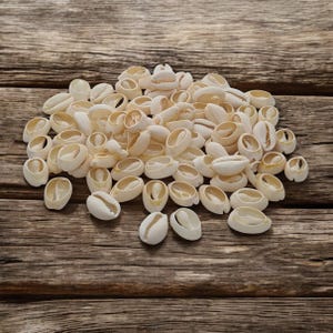 Może przedstawiać: Stosik białych muszli kauri na drewnianej powierzchni. Muszle są gładkie i owalne, z otworem w środku każdej muszli.