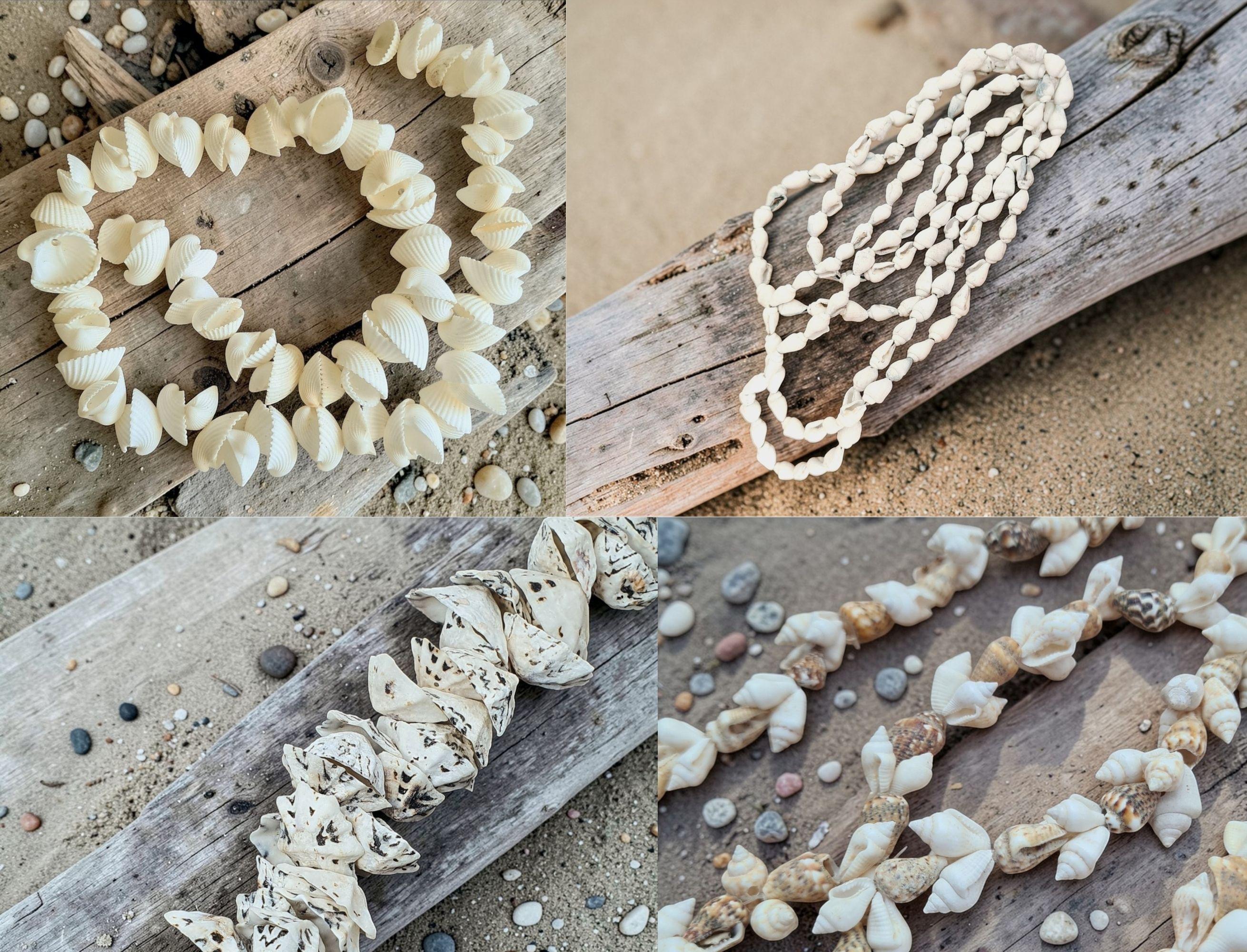 Stringed Shells Drilled Shell Bead Strands | Nassa Shell Beads | White Cockle Shell ...