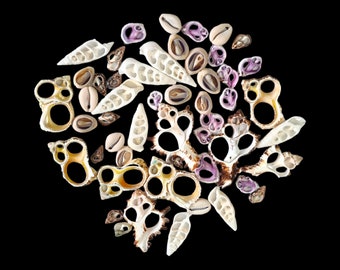 Mixed Sliced Natural Shell Beads - Beautiful Cut Seashells for Crafts, Art, Jewellry Making, Mosaics, Coastal Art