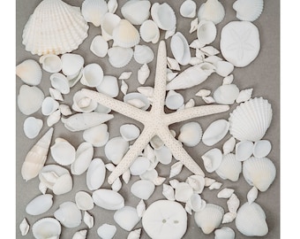 Mixed WHITE Shells Natural Shells and Starfish / Approx 100 + Craft Shells / Beach Shells / Wedding Shells / Aquarium / Sea Shell Decor #MW